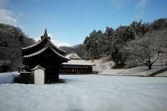 初雪