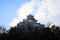 仰ぎ見る城