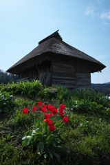 藁小屋の春