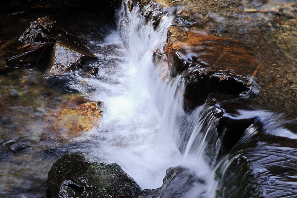 源流 by Baru(バル) (ID:13432026) - 写真共有サイト:PHOTOHITO
