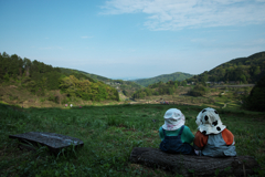 棚田を眺める。