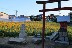 五穀豊穣を祈る