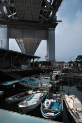 瀬戸大橋下