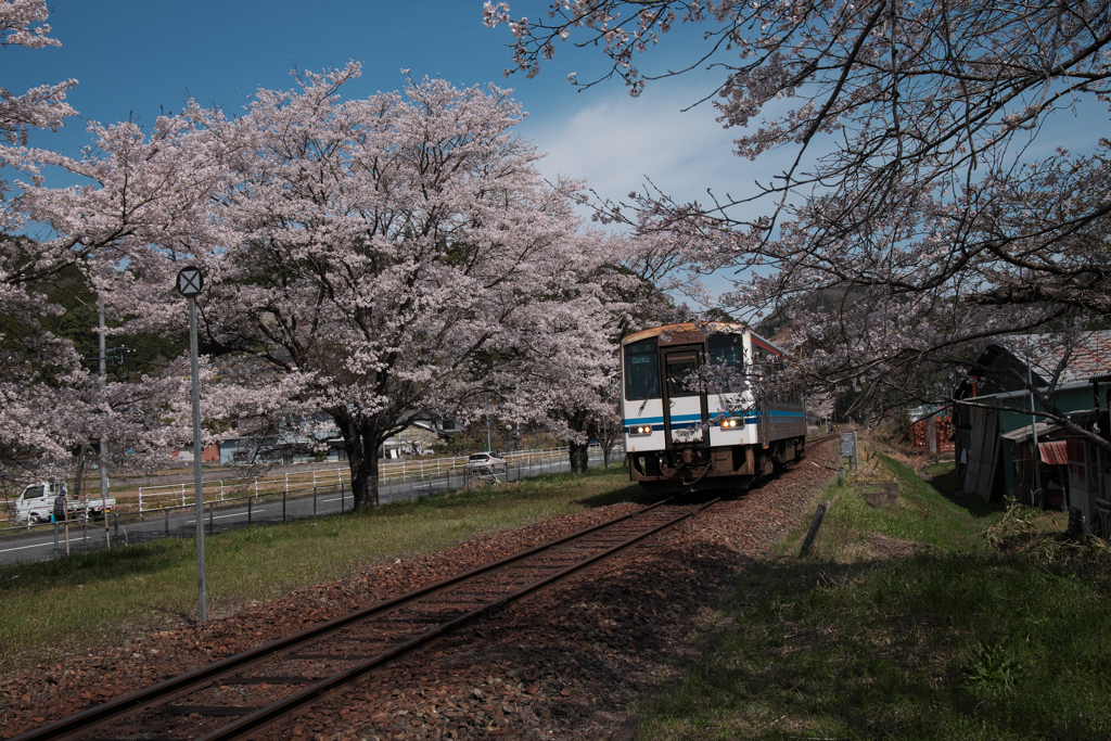 一両電車