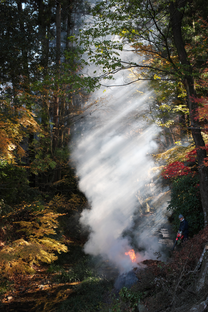 落ち葉焚き