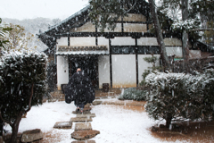 心頭滅却しても・・・『寒い！！』