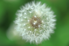 万華鏡