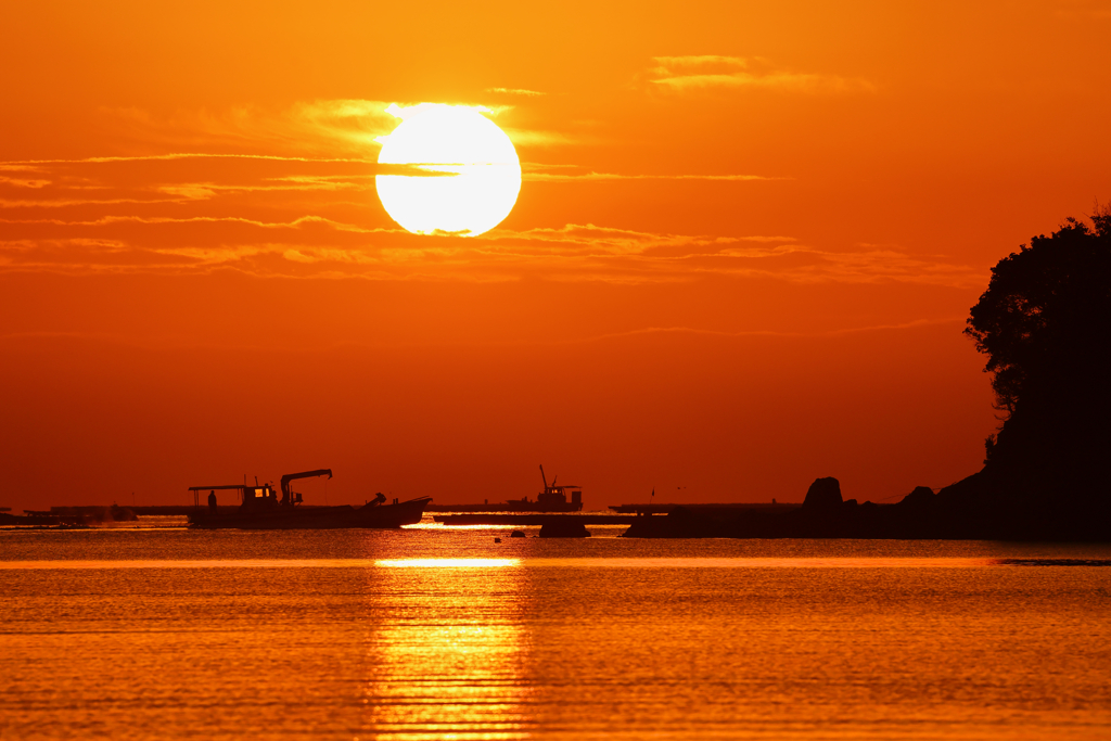 新年おめでとうございます！