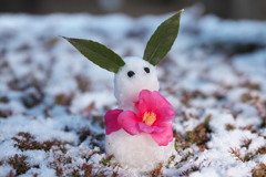 お花をどうぞ！