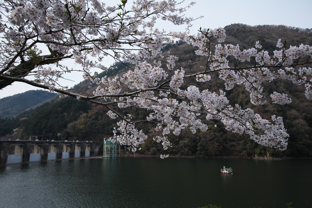 ダム湖