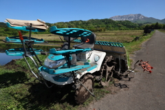 大山を仰ぎ見て