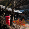 赤ポスト