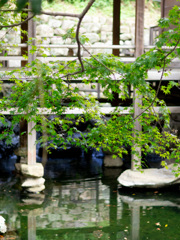 高見神社／福岡県北九州市八幡東区