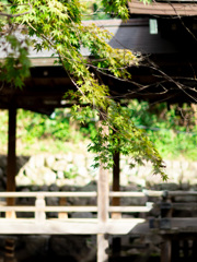 高見神社／福岡県北九州市八幡東区