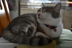 ご満悦
