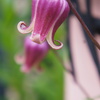 DSC02351