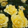 DSC02314