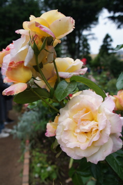 DSC02286