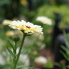 DSC02317