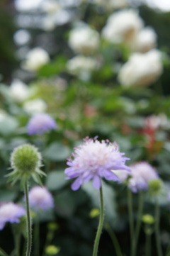 DSC02280
