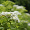 DSC02358