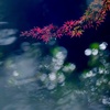 陽光