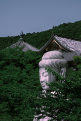 大きい