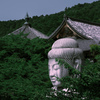 大きい