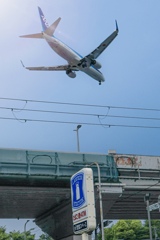 おかえり〜♫