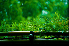 雨宿り