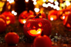 ハロウィンイベント ハロウィンイベント