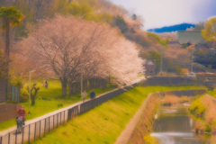 春色に誘われて・・