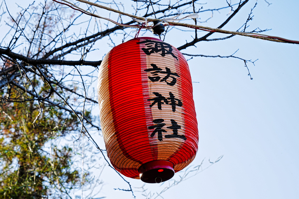 初詣、空を見上げたら
