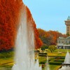 メタセコイヤ並木と噴水のある美しい公園