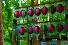 夏のお寺