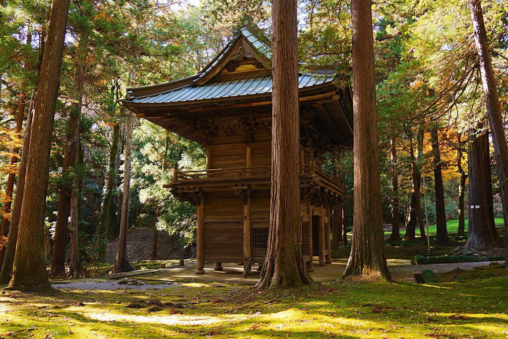 寺・苔・紅葉