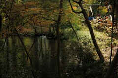 紅葉の池を見ながら新そばを食す