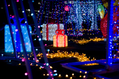 ILLUMINATIONナイト