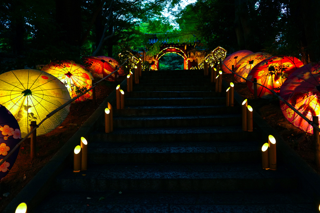 HANABIYORI NIGHT