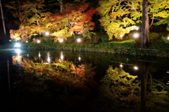 紅葉ライトアップ