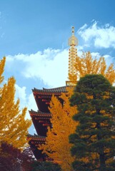 五重塔と秋