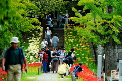 花寺