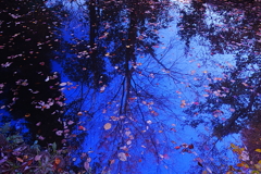 水のキャンパス