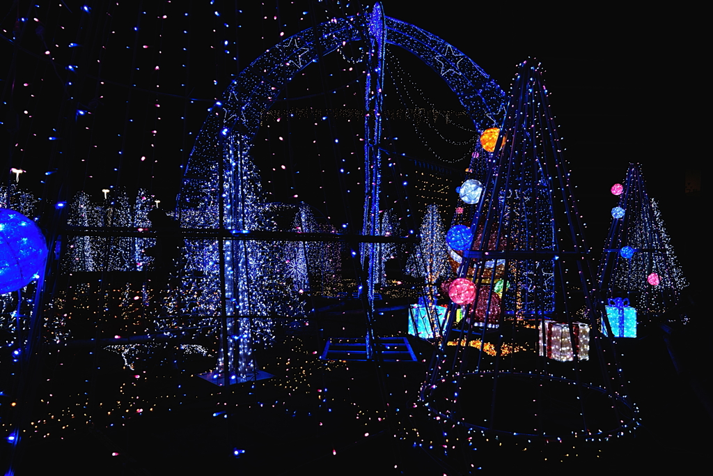 ILLUMINATIONナイト