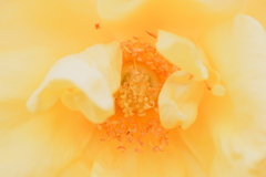 やわらかな渦に、心をゆだねる