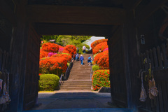 つつじ寺