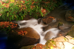 渓流のある公園