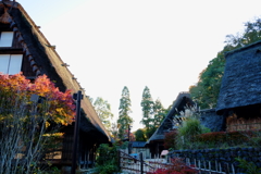 古民家の秋