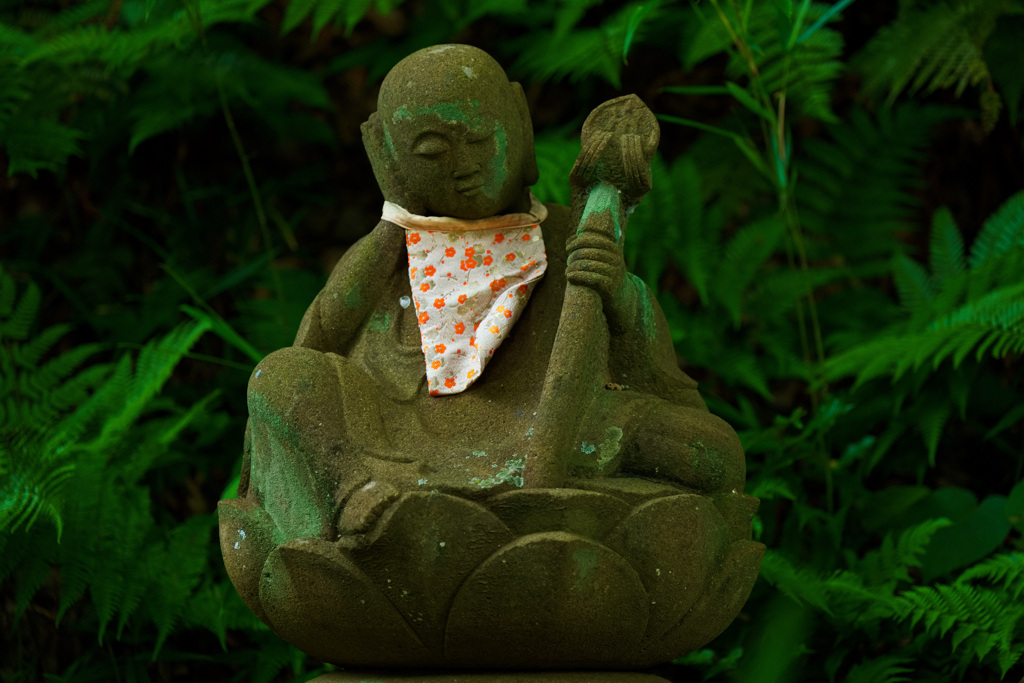 夏のお寺