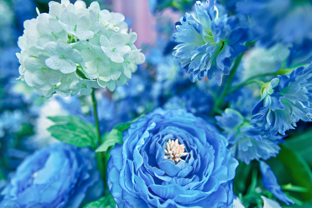 デルフィニウムの花